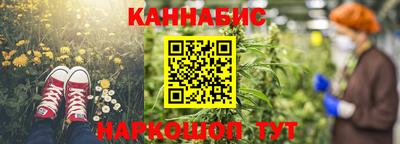гашик Кунгур